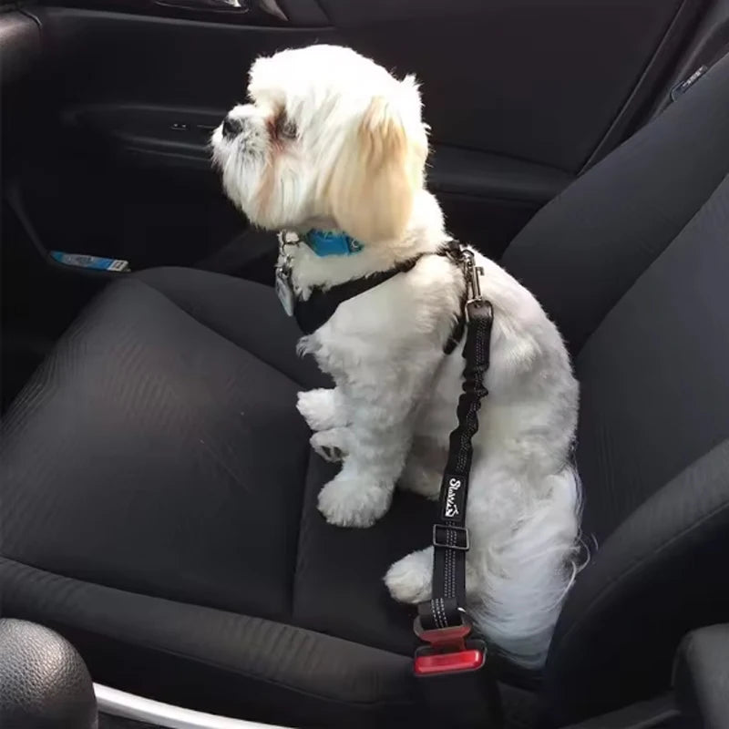 Hunde Sicherheitsgurt
